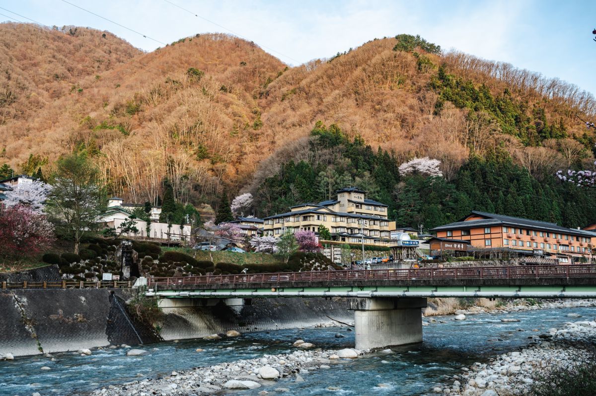 南信州の桜旅　昼神温泉